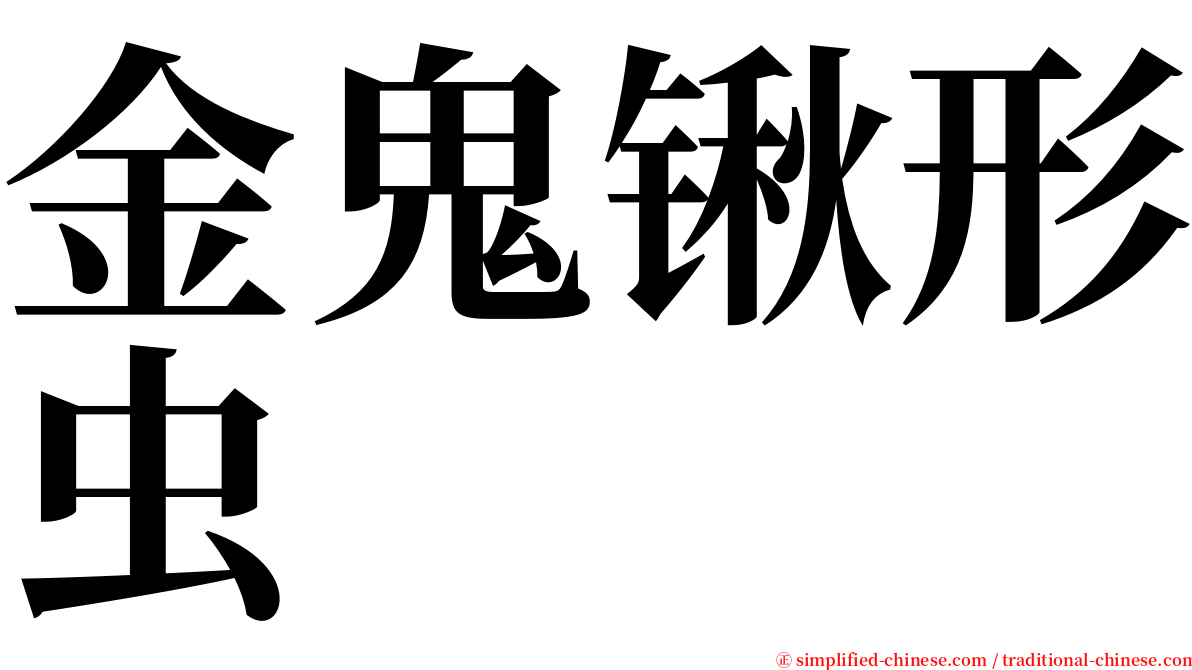 金鬼锹形虫 serif font