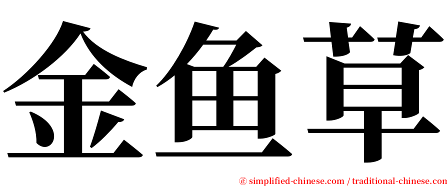金鱼草 serif font