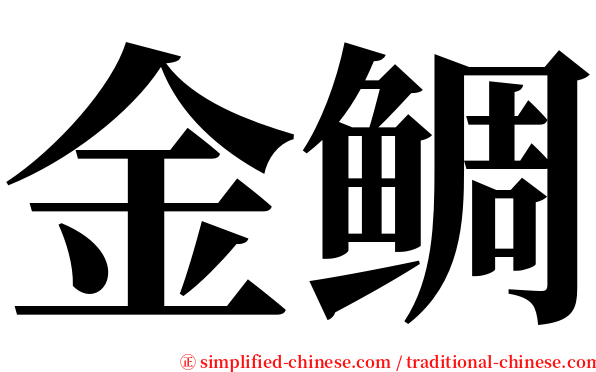 金鲷 serif font