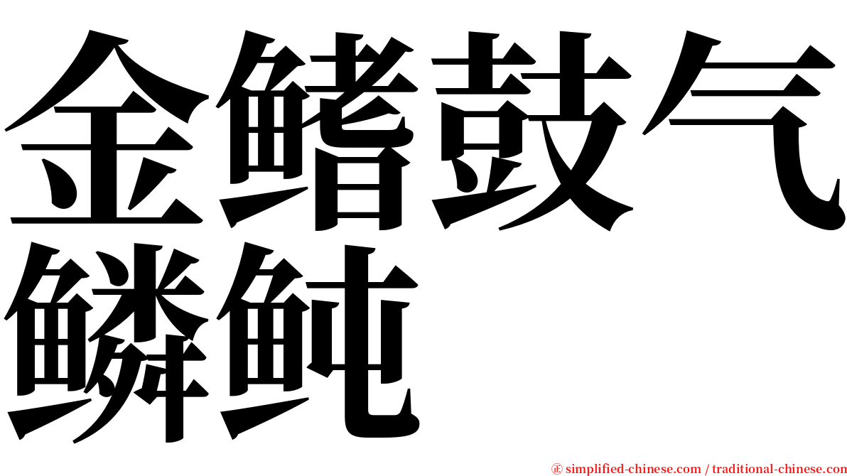 金鳍鼓气鳞鲀 serif font