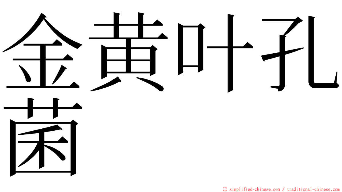 金黄叶孔菌 ming font