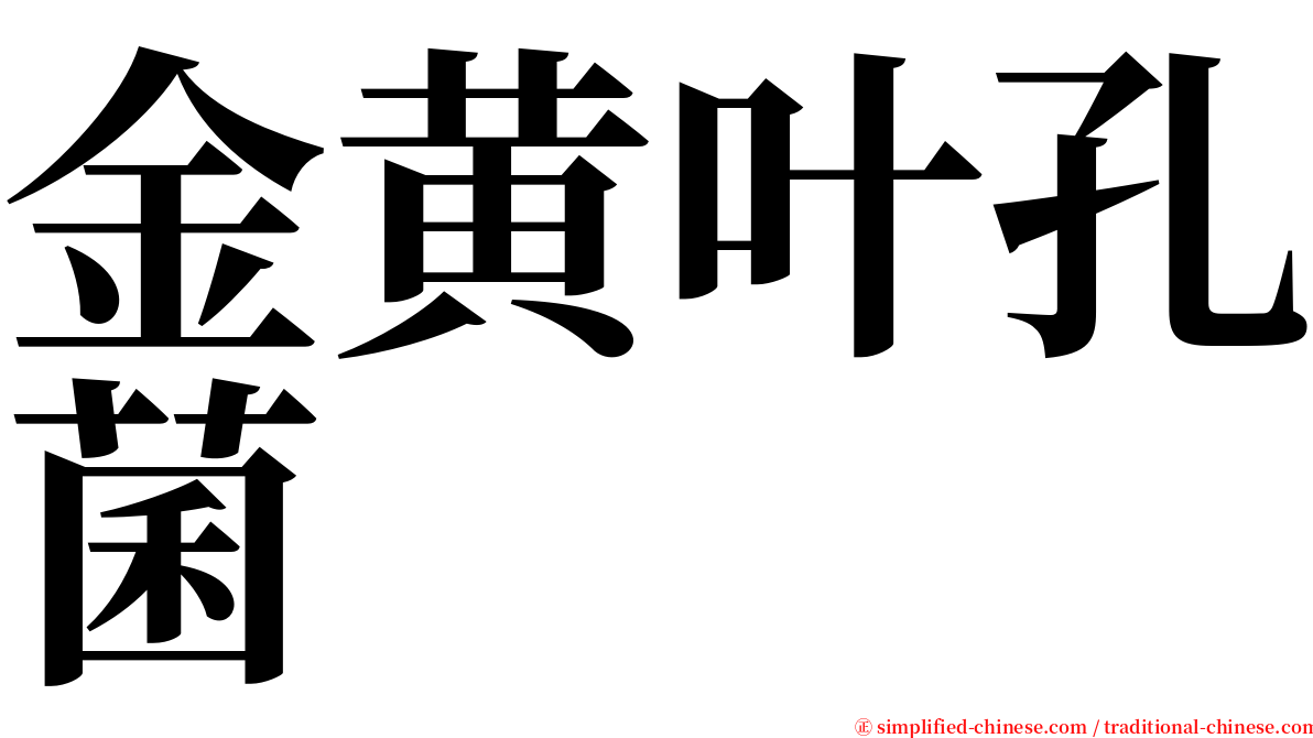 金黄叶孔菌 serif font