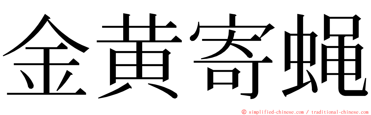 金黄寄蝇 ming font