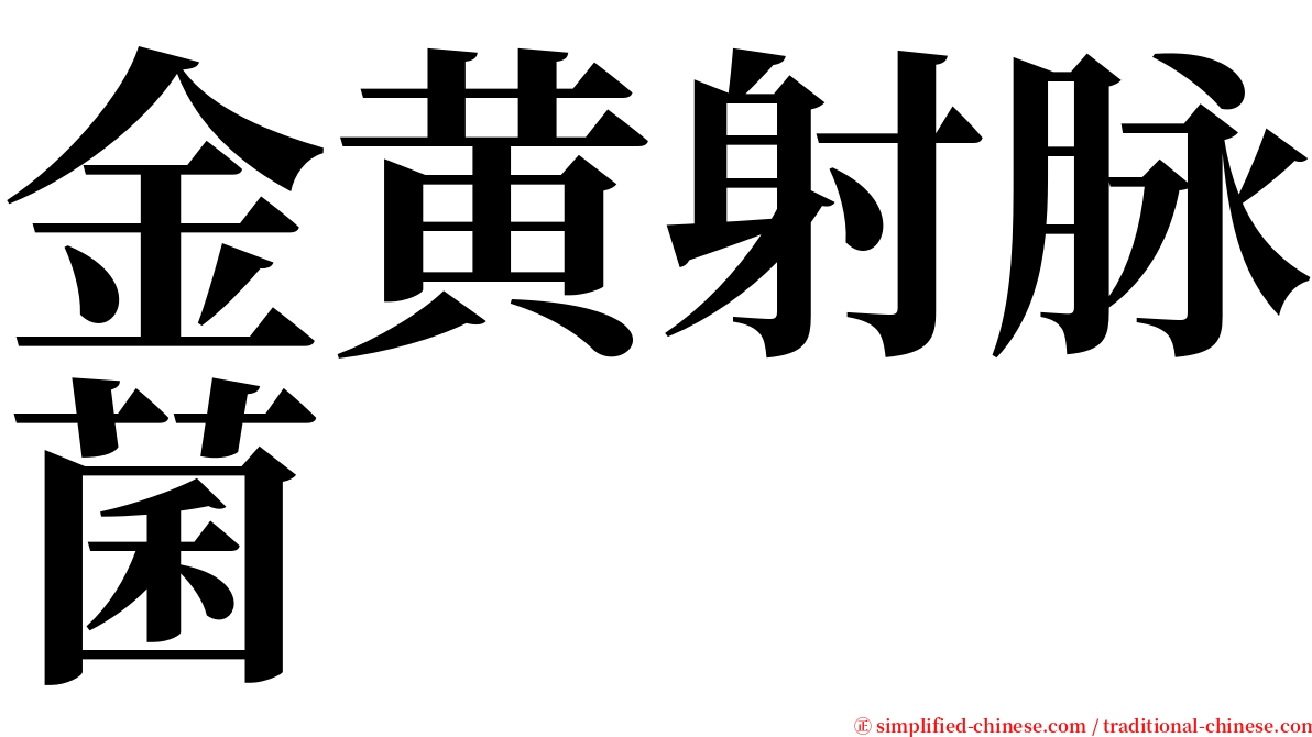 金黄射脉菌 serif font