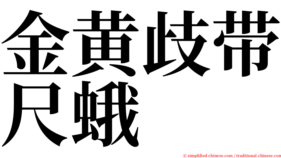 金黄歧带尺蛾 serif font