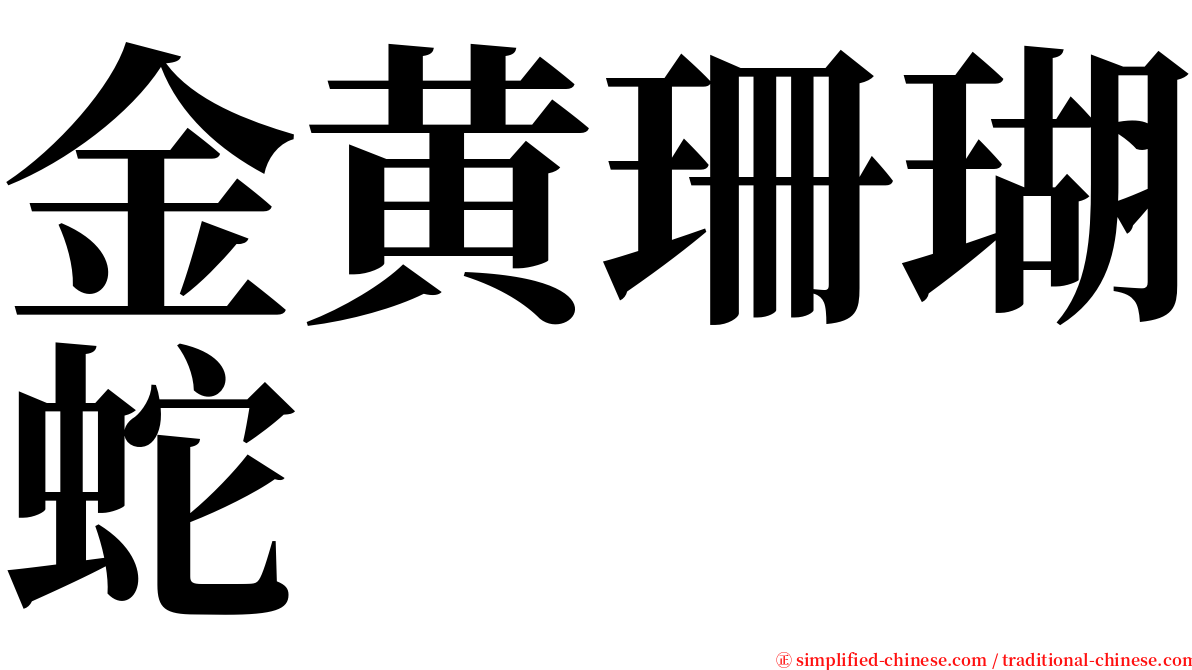 金黄珊瑚蛇 serif font