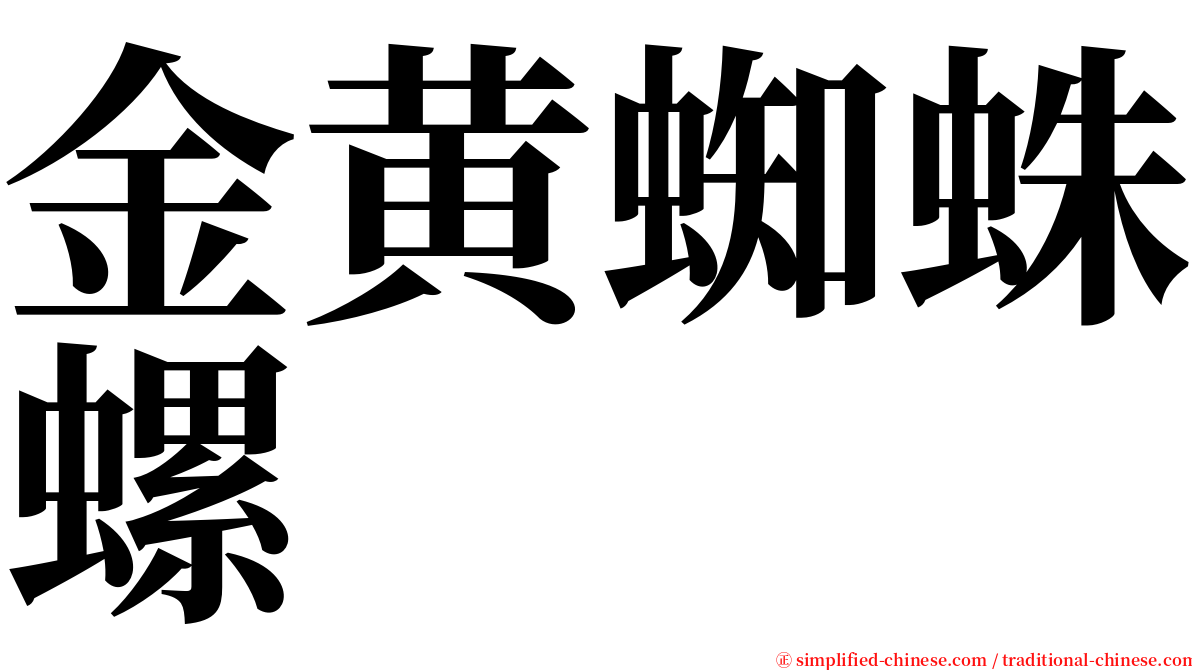 金黄蜘蛛螺 serif font