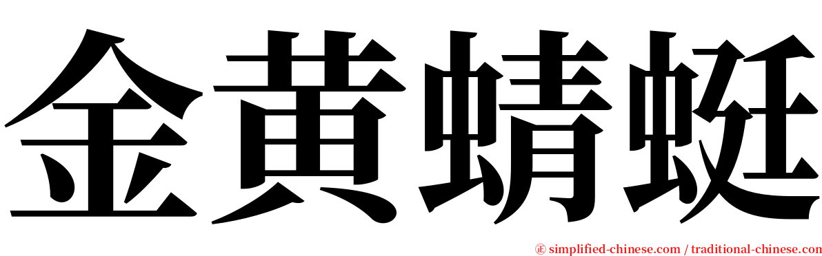 金黄蜻蜓 serif font