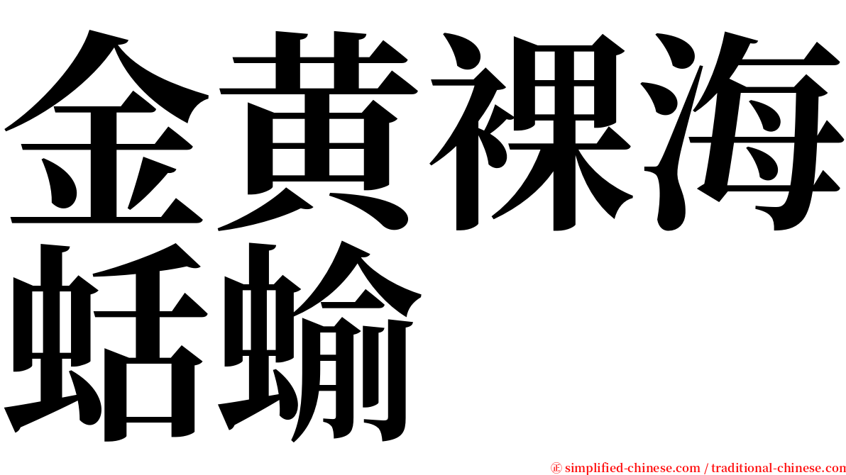 金黄裸海蛞蝓 serif font