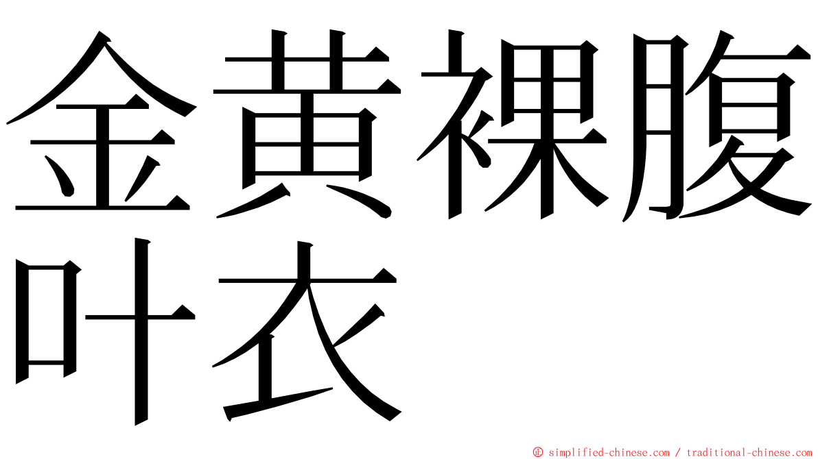 金黄裸腹叶衣 ming font