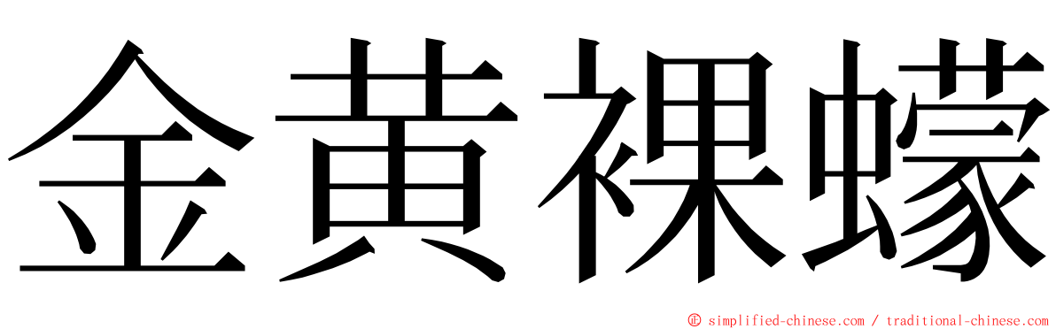 金黄裸蠓 ming font