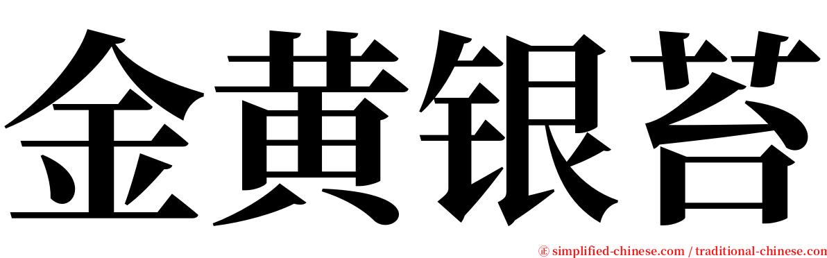 金黄银苔 serif font