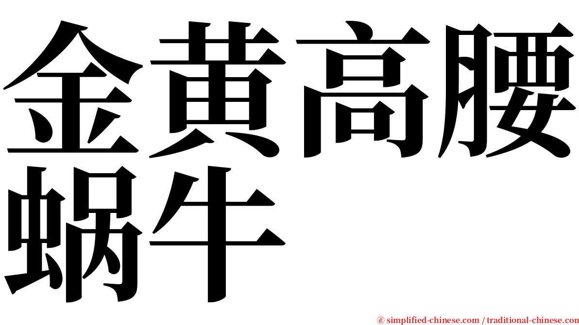 金黄高腰蜗牛 serif font