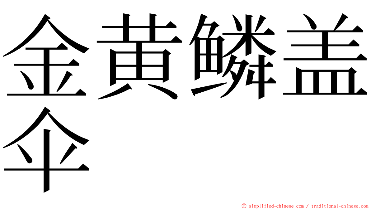 金黄鳞盖伞 ming font