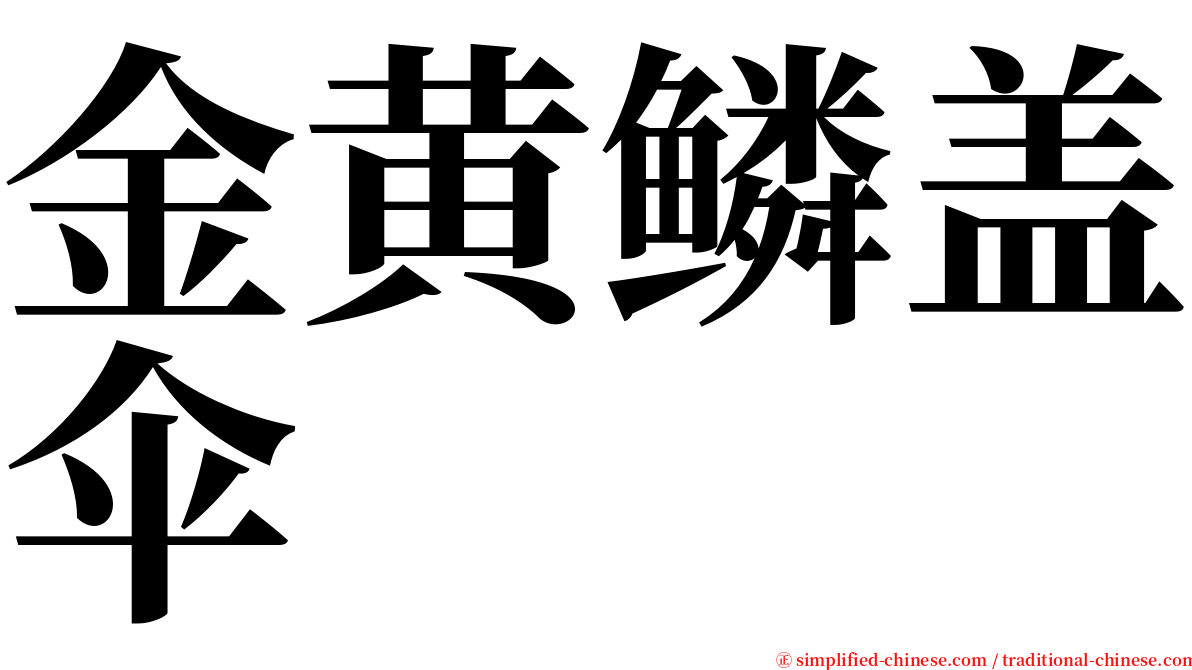 金黄鳞盖伞 serif font