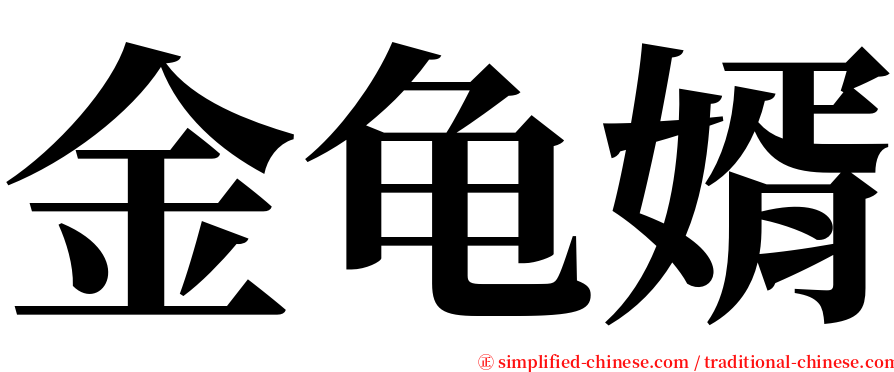 金龟婿 serif font