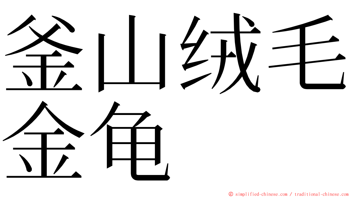 釜山绒毛金龟 ming font