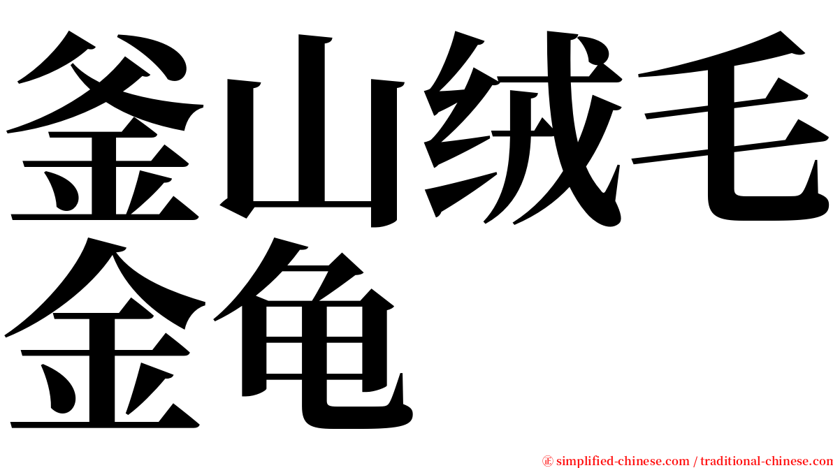 釜山绒毛金龟 serif font