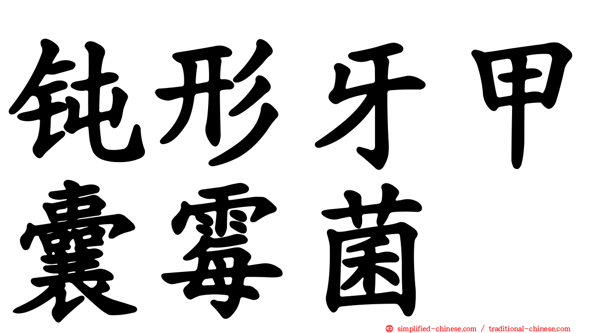 钝形牙甲囊霉菌