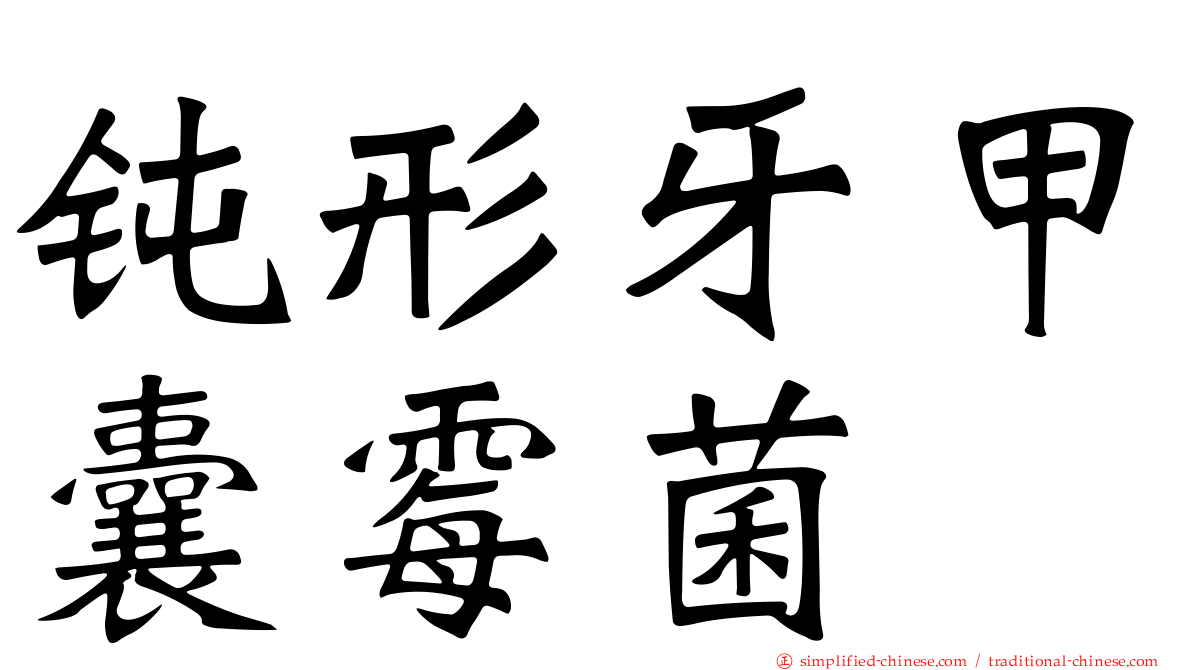钝形牙甲囊霉菌