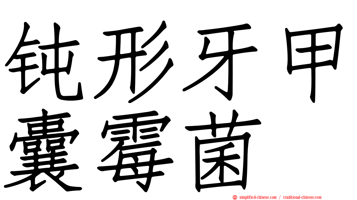 钝形牙甲囊霉菌