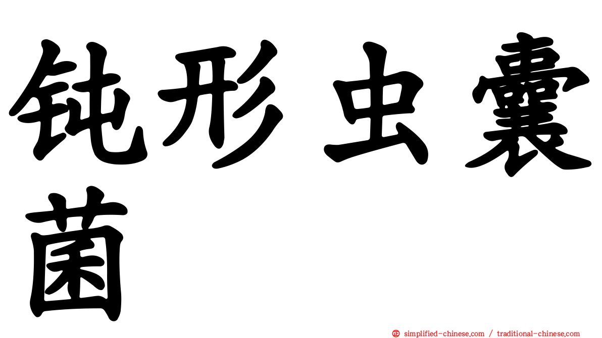 钝形虫囊菌