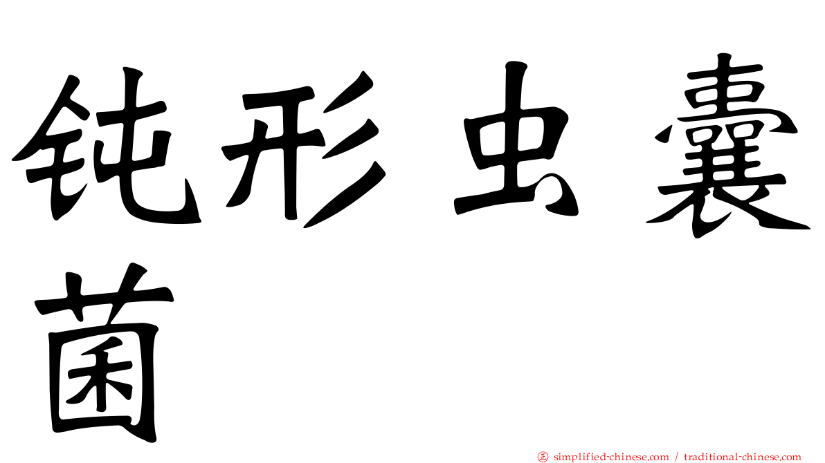 钝形虫囊菌