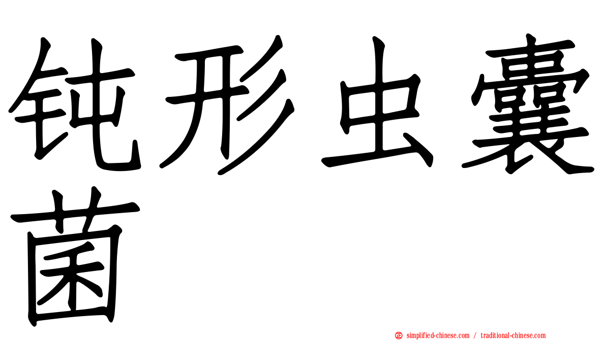 钝形虫囊菌