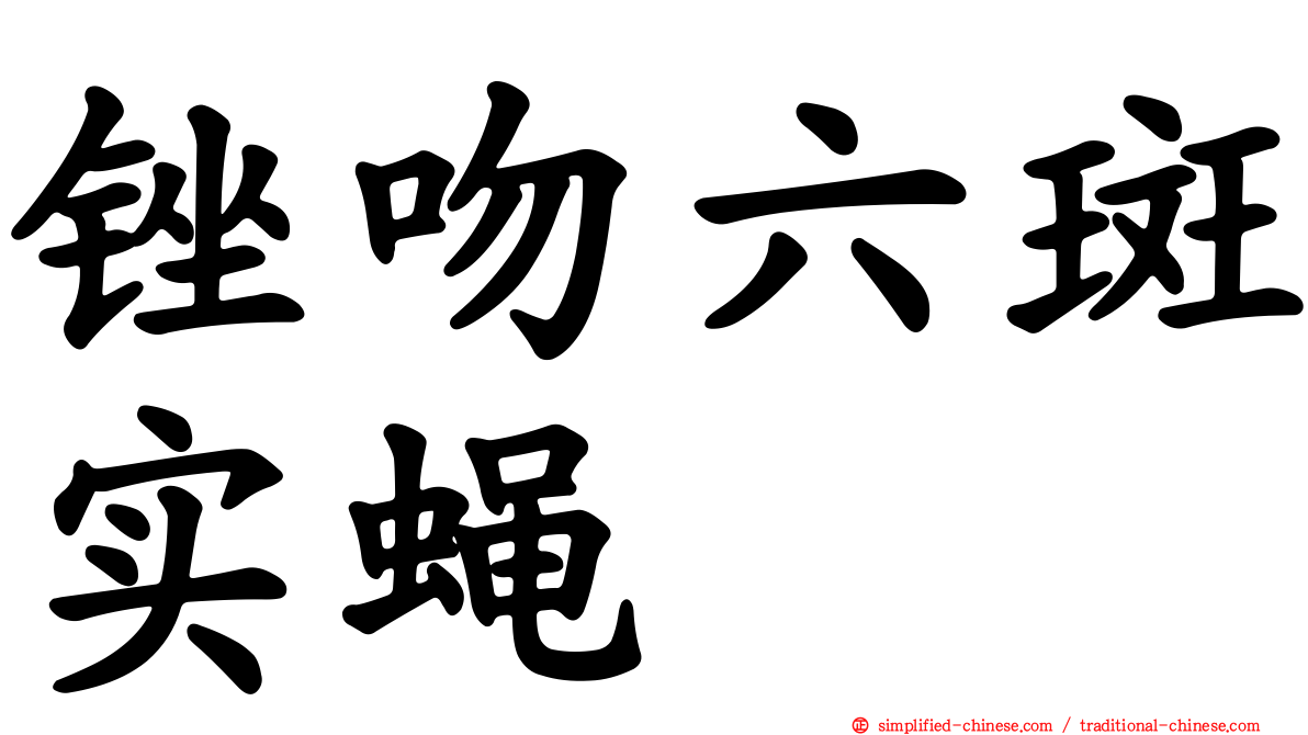 锉吻六斑实蝇