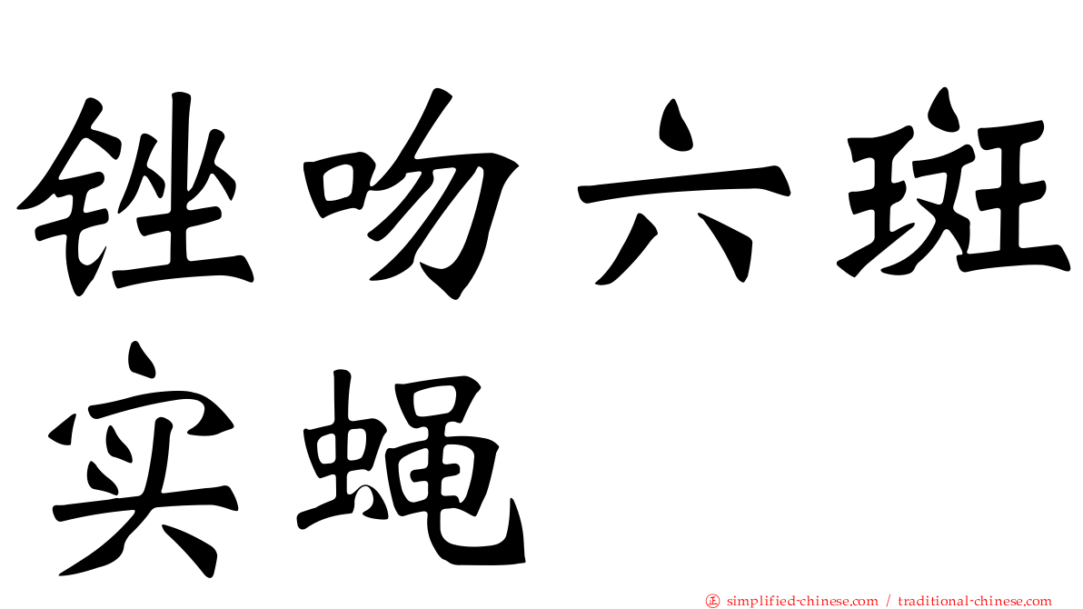 锉吻六斑实蝇