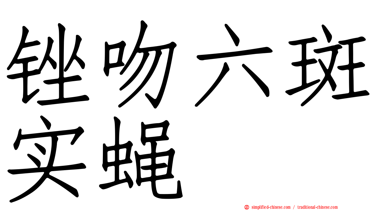 锉吻六斑实蝇