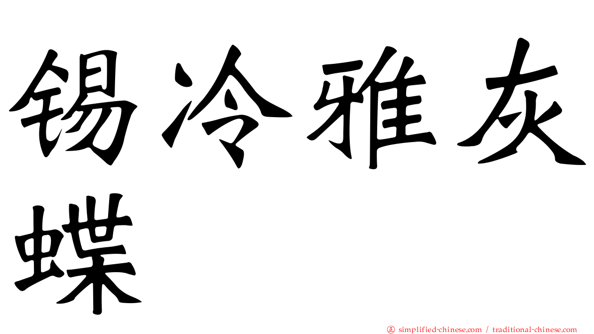 锡冷雅灰蝶