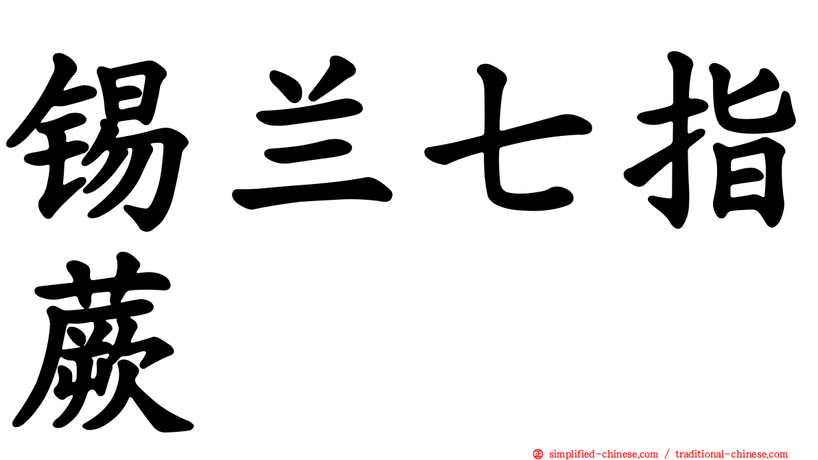 锡兰七指蕨