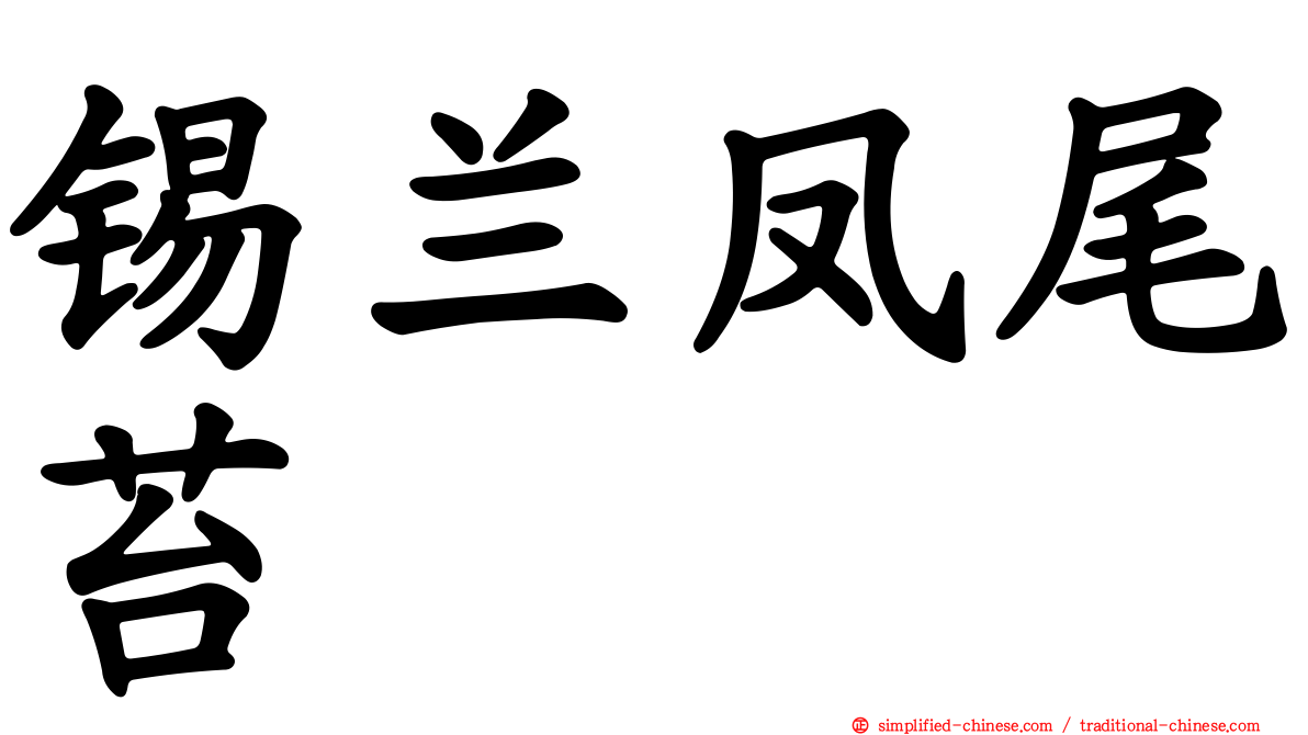 锡兰凤尾苔