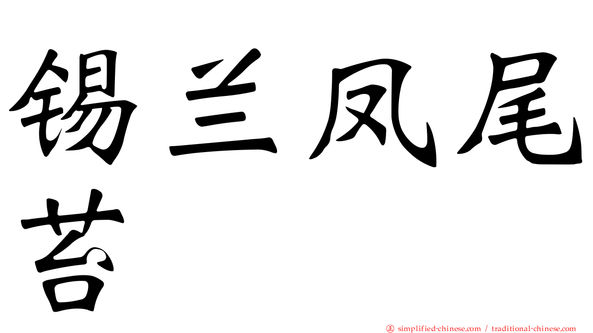 锡兰凤尾苔