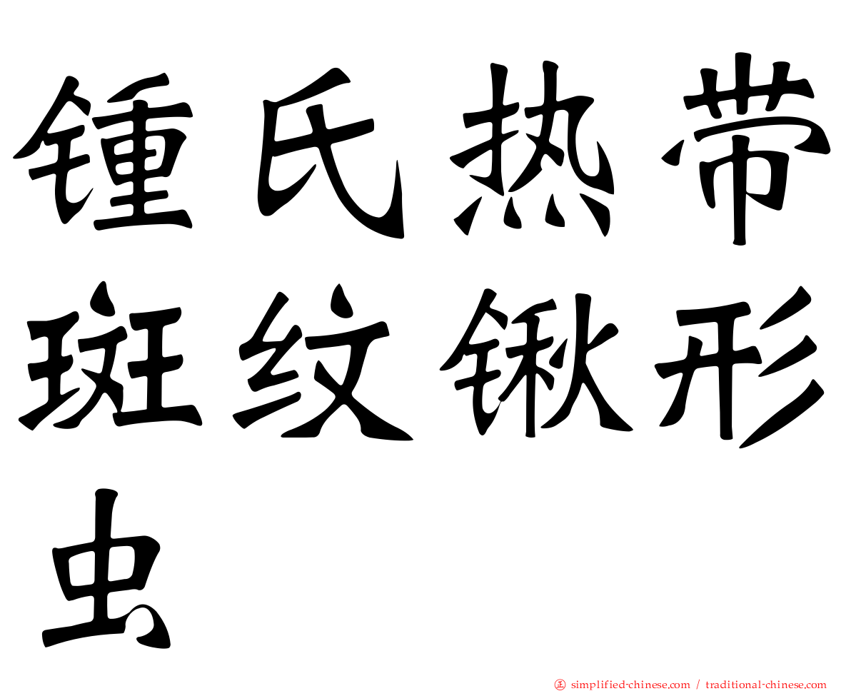 锺氏热带斑纹锹形虫