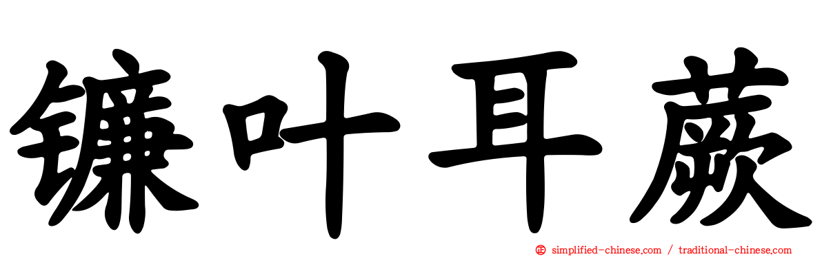 镰叶耳蕨