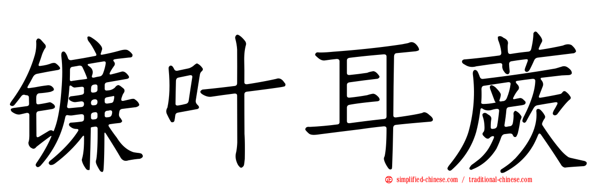 镰叶耳蕨