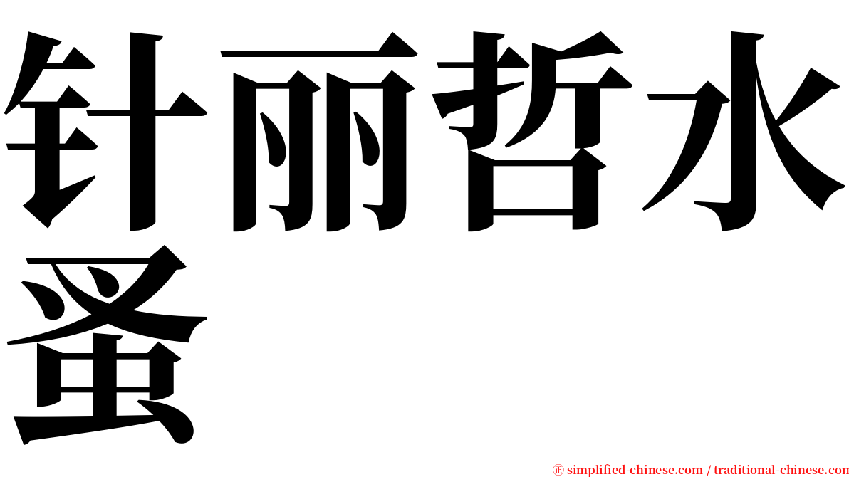 针丽哲水蚤 serif font