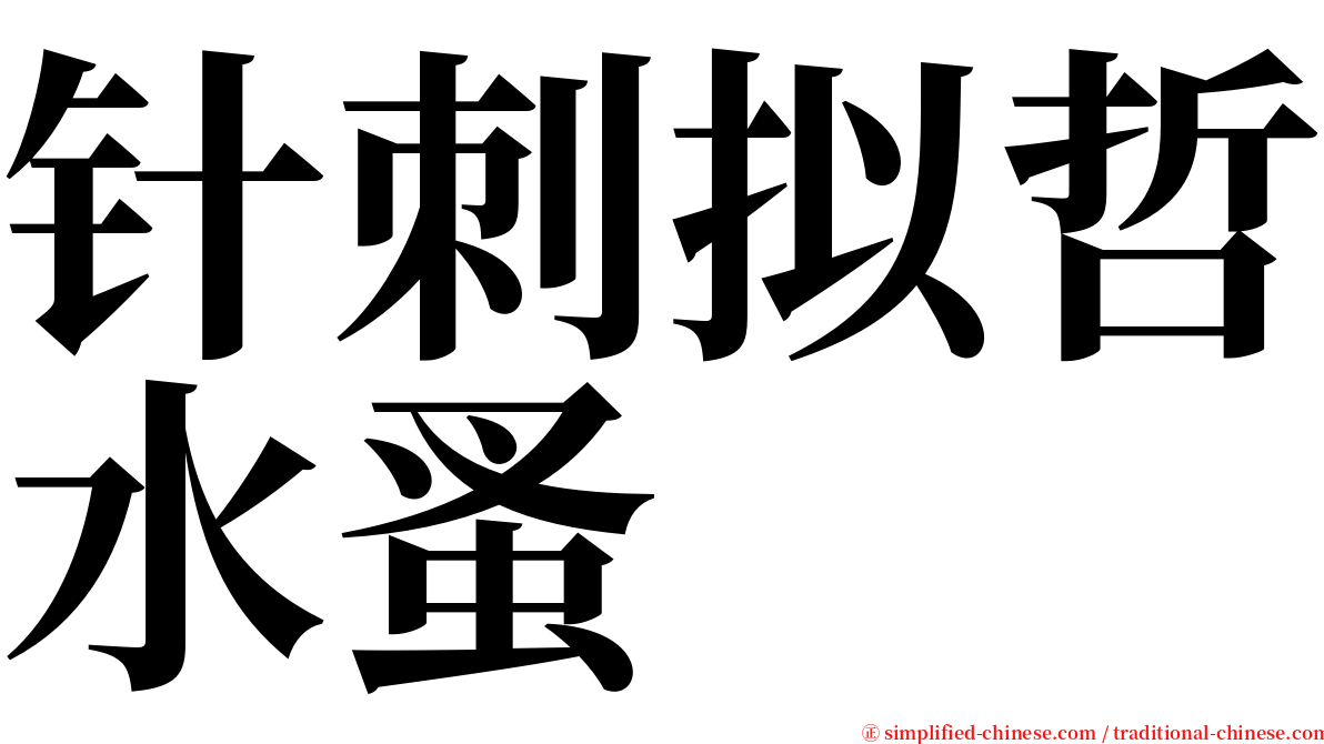 针刺拟哲水蚤 serif font