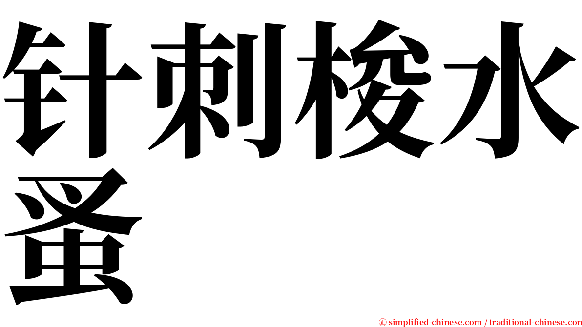 针刺梭水蚤 serif font