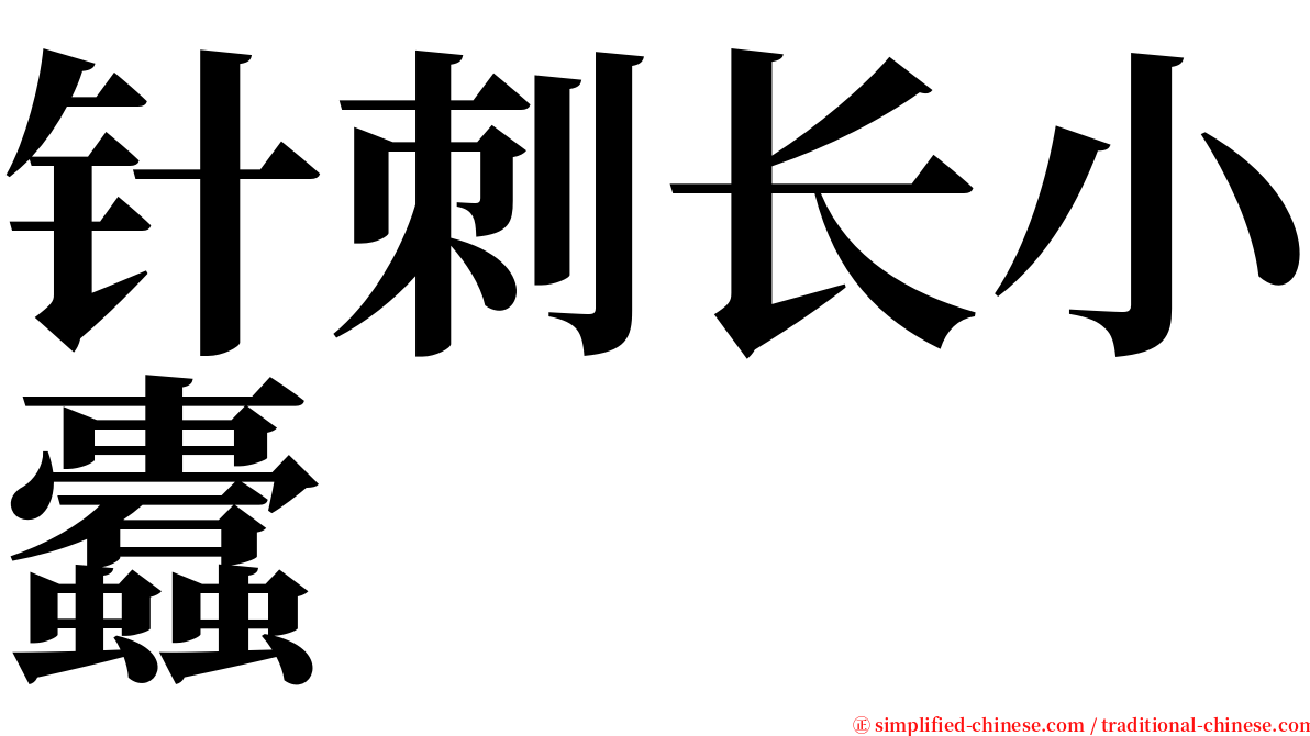 针刺长小蠹 serif font