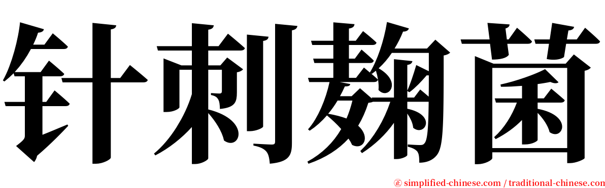 针刺麹菌 serif font