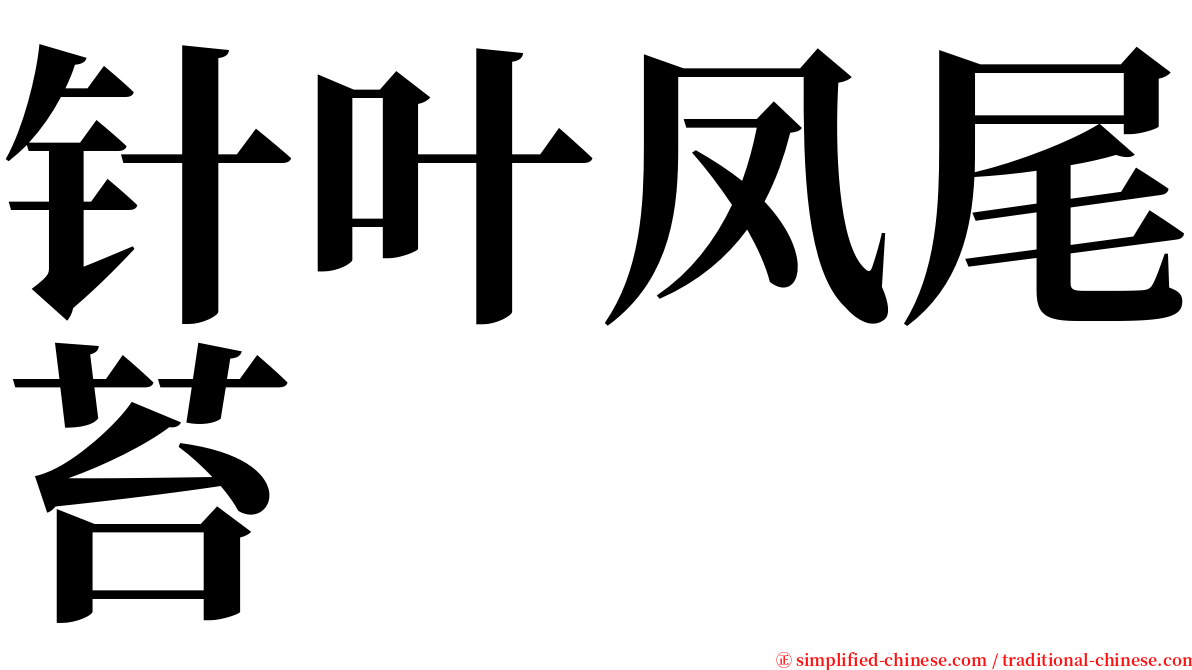 针叶凤尾苔 serif font