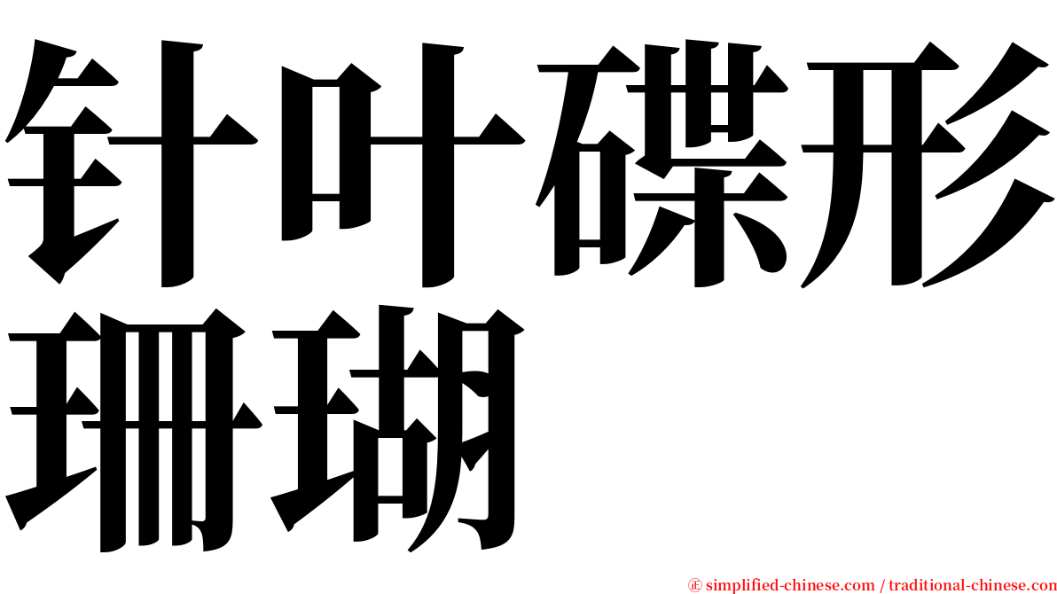 针叶碟形珊瑚 serif font