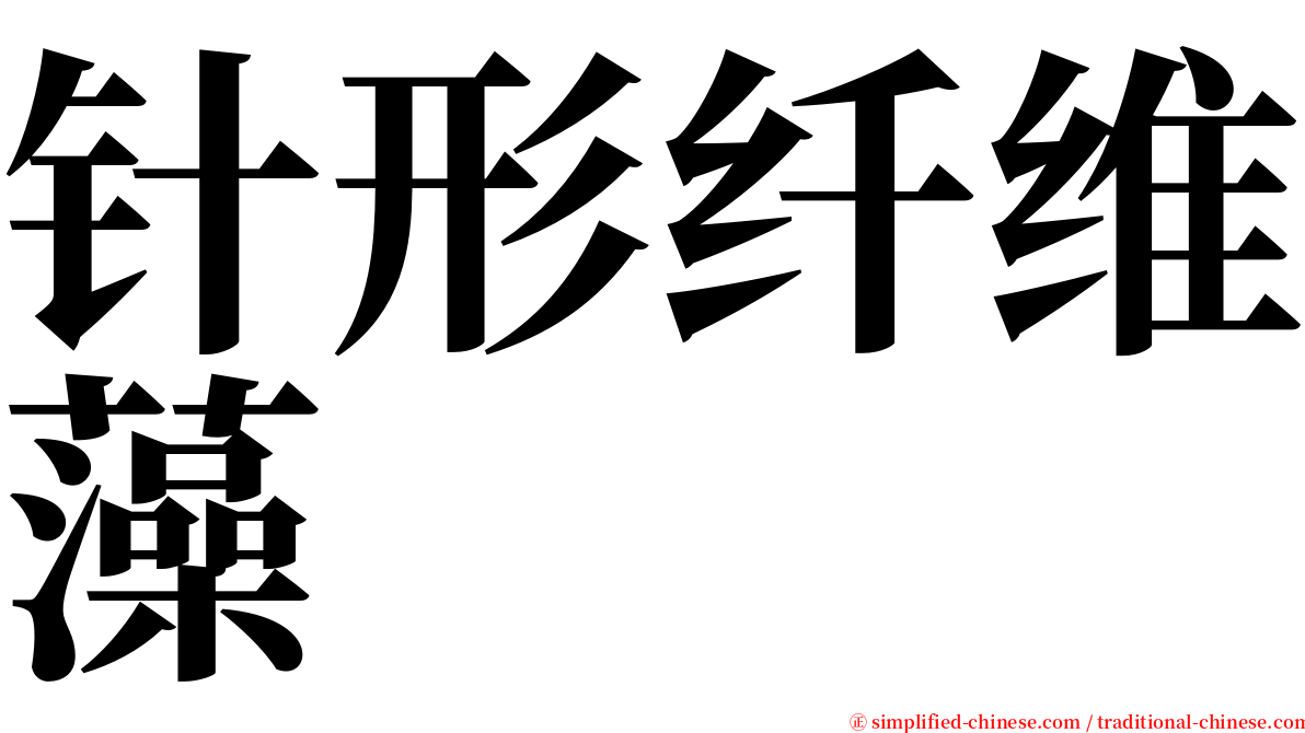 针形纤维藻 serif font