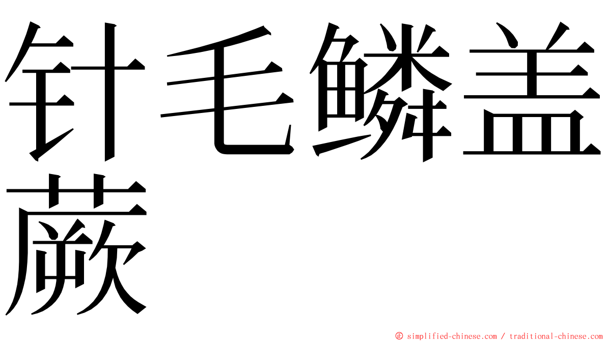 针毛鳞盖蕨 ming font