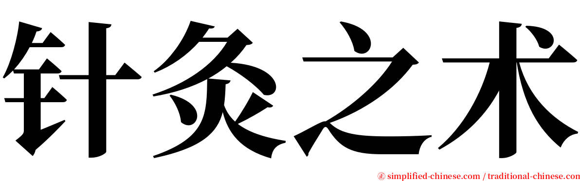 针灸之术 serif font