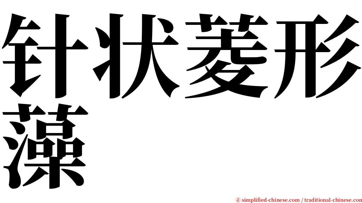 针状菱形藻 serif font