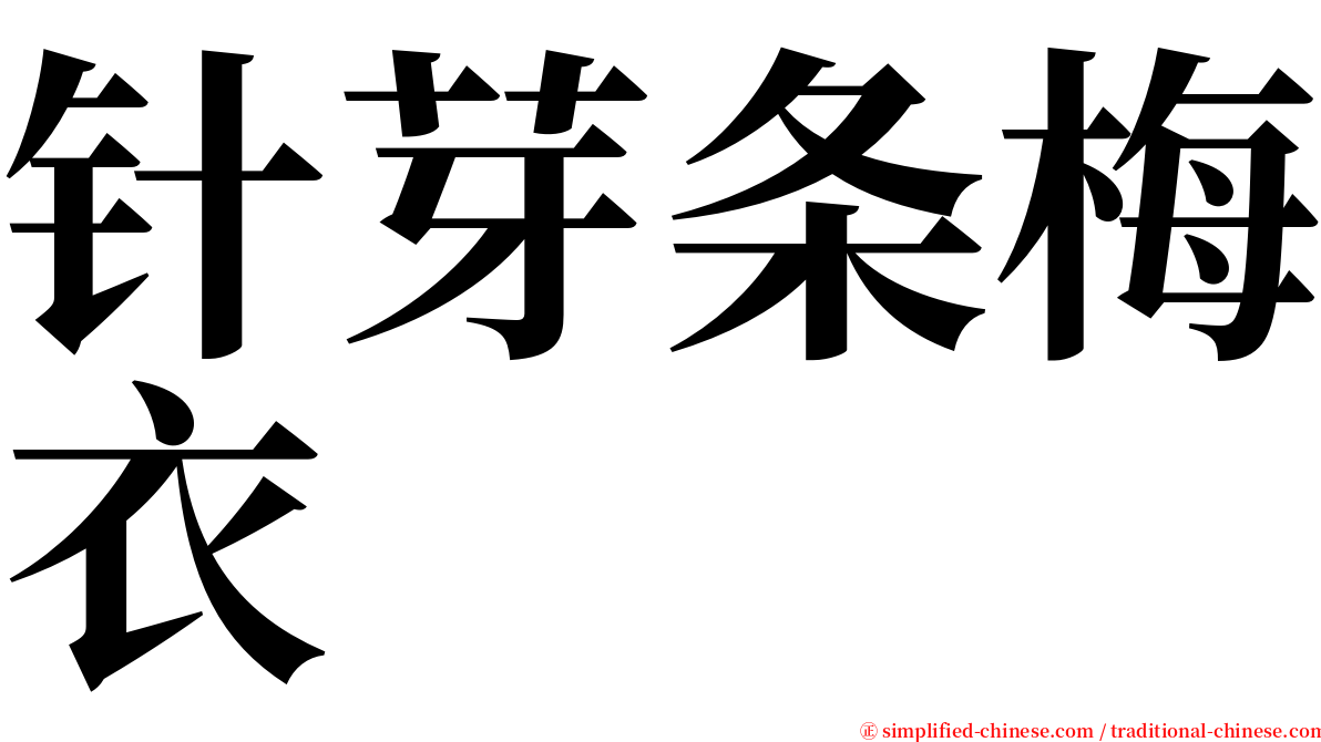 针芽条梅衣 serif font